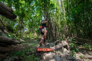 BIB: 
                            <button type="button" onclick="openModal(19393964)" class="btn btn-primary btn-sm float-right btn-popup" data-toggle="modal" data-target=".modal-high-quality">
                        <i class="fas fa-shopping-cart"></i> Add to Cart
                    </button>
                                            <button type="button" onclick="isThisMe(19393964, true)" class="btn btn-success btn-sm float-right btn-popup btn-isme hidden" data-toggle="tooltip" data-placement="bottom" title="นี่คือรูปของคุณใช่ไหม คลิกที่นี่เพื่อเอาเข้าอัลบั้ม">
                        <i class="fas fa-plus"></i> Add to album
                    </button>
                    <button type="button" onclick="isThisMe(19393964, false)" class="btn btn-warning btn-sm float-right btn-popup btn-isnotme hidden">
                        <i class="fas fa-ban"></i> Remove from album
                    </button>